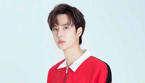 娱乐大爆料配音演员表名单,揭秘配音演员阵容,声临其境的幕后英雄 第1张 娱乐大爆料配音演员表名单,揭秘配音演员阵容,声临其境的幕后英雄 第1张