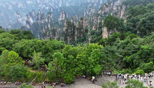 张家界最新新闻爆料,神秘洞穴发现罕见生物,探险之旅再掀热潮 第1张 张家界最新新闻爆料,神秘洞穴发现罕见生物,探险之旅再掀热潮 第1张